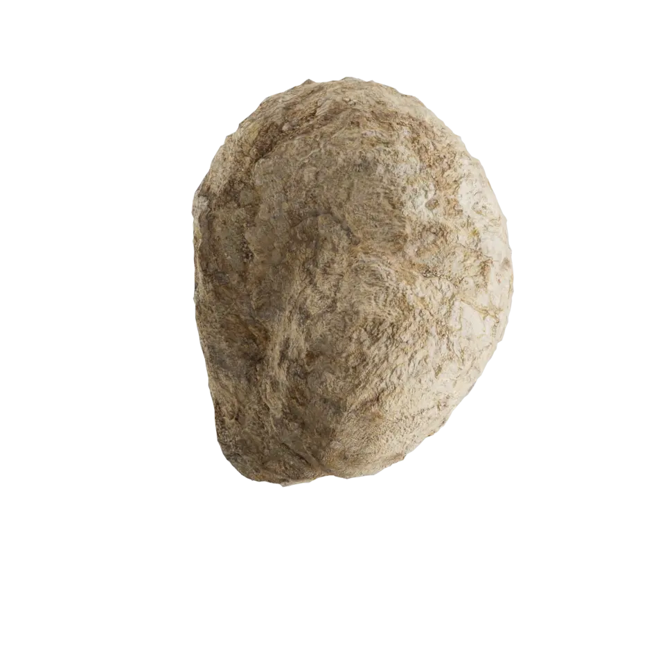 Textures de cailloux — rendu 3D